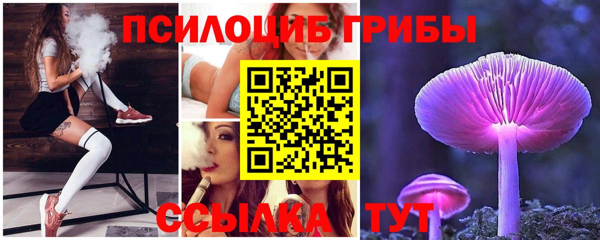 Касимов  как найти закладки  Галлюциногенные грибы Cubensis  Вход с VPN  Псилоцибиновые грибы мицелий 